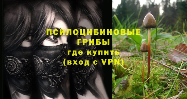 гидропоника Балабаново