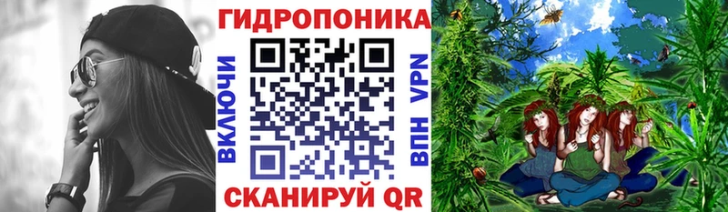Бошки Шишки планчик  магазин    Ялуторовск 